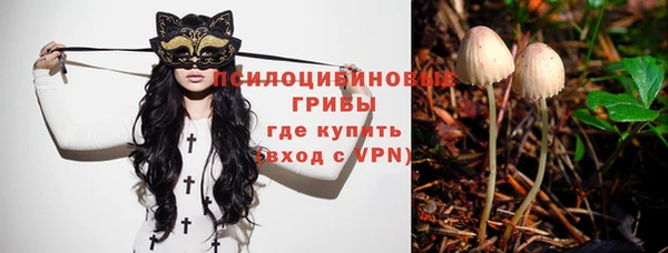 шишки Алзамай