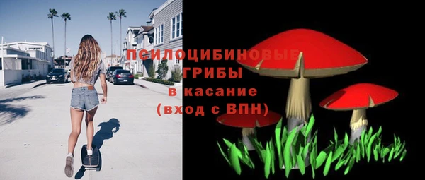 шишки Алзамай