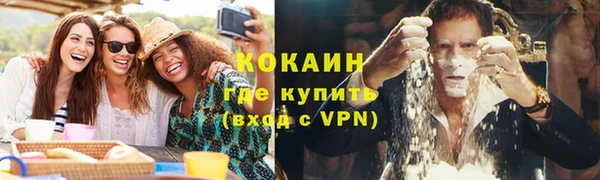тгк Алексин