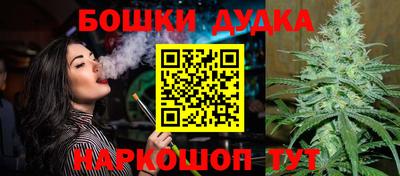 spice Сланцы