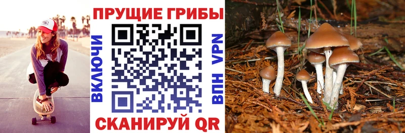 Галлюциногенные грибы Magic Shrooms  Тихвин 