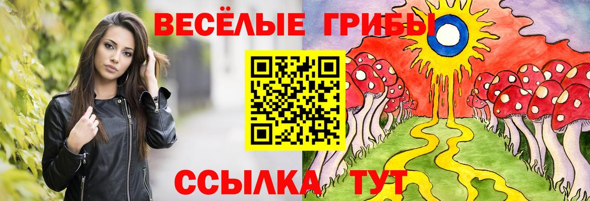 Псилоцибиновые грибы MAGIC MUSHROOMS Тихвин