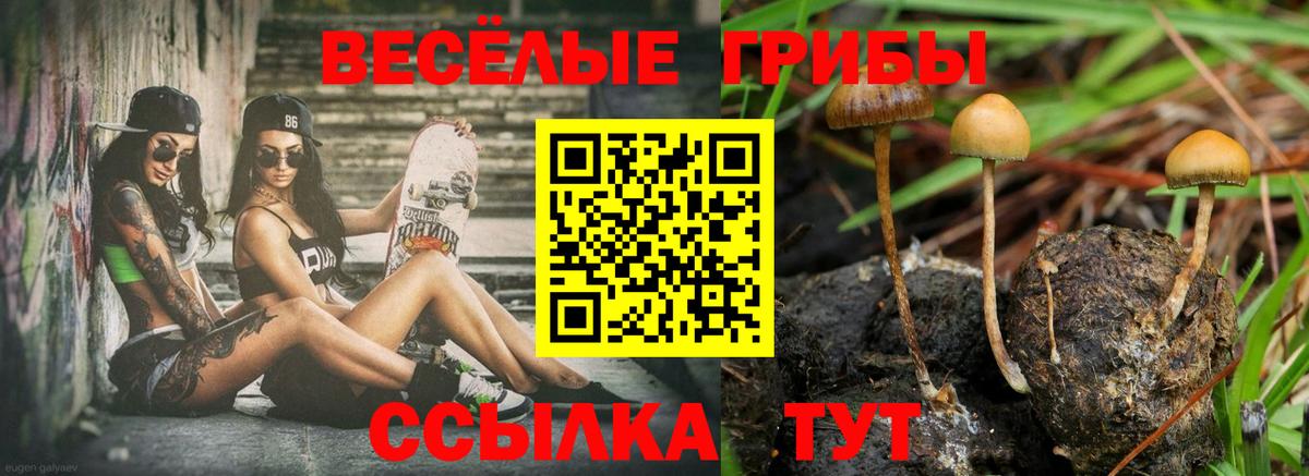 Галлюциногенные грибы ЛСД  Вход с VPN  Тихвин 